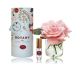 3 Pink Roses & Classic Rose Fragrance Gift Set